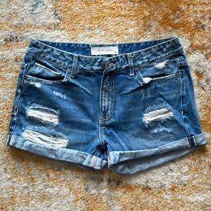 Hidden Jeans Shorts